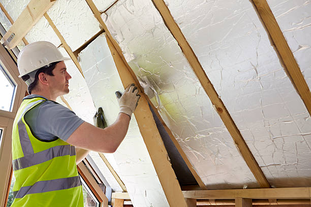 Best Insulation Maintenance and Repair in Nashville, TN